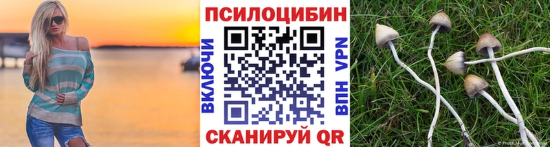 дарк нет телеграм  Кунгур  Псилоцибиновые грибы мухоморы 