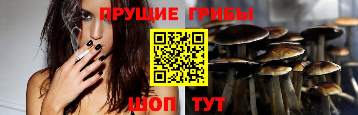 Галлюциногенные грибы мицелий  Галлюциногенные грибы Psilocybe  Кунгур  Вход с VPN 